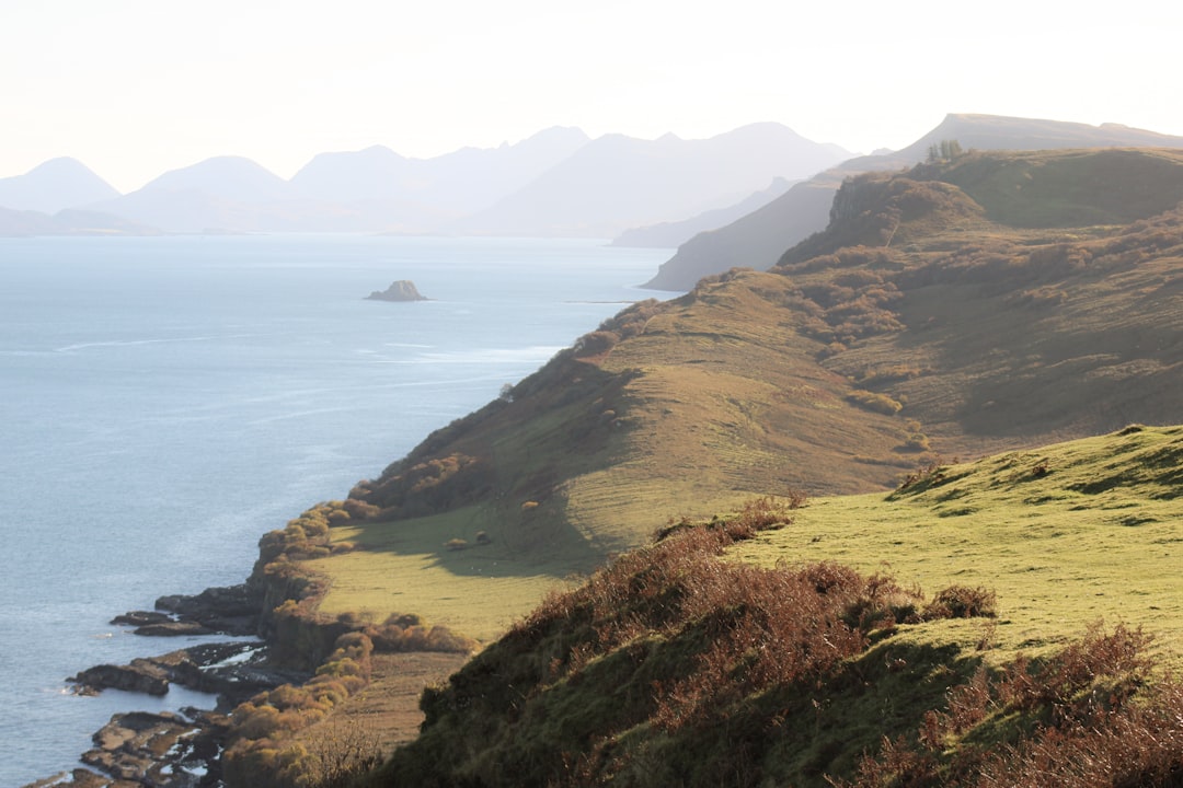 Excursão Beto Carrero World: Guia Completo para sua Aventura Rodoviária