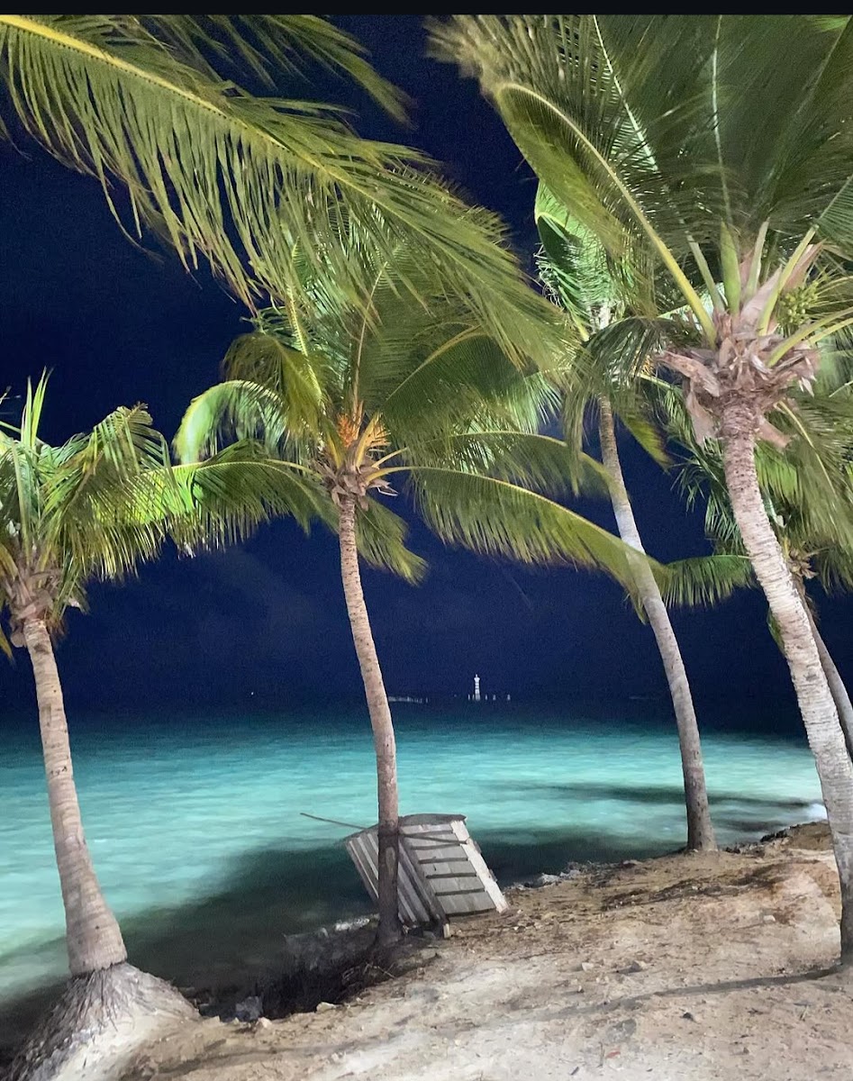 Excursão Terceira Idade: Dicas Essenciais para Viagens Rodoviárias