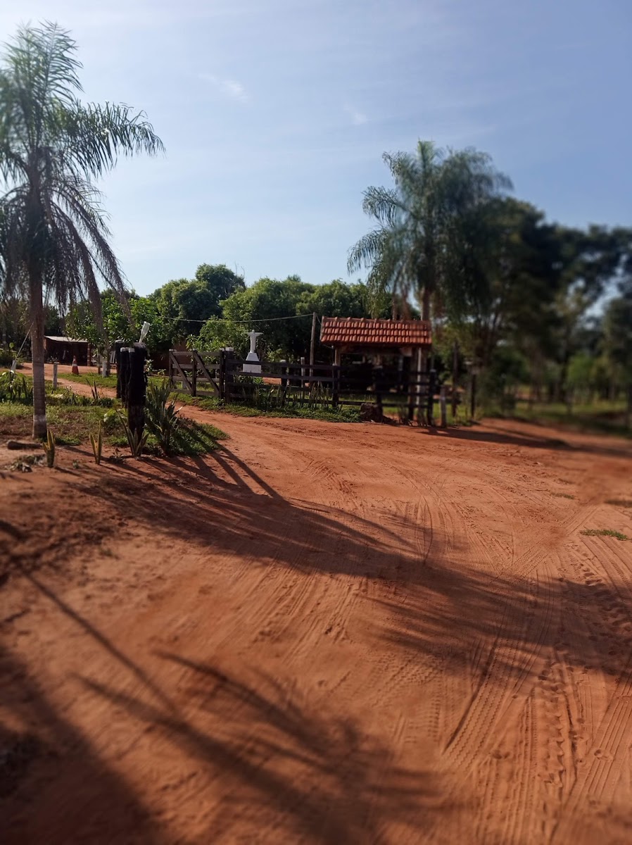 Nova Andradina: Roteiro Completo para Sua Excursão Rodoviária!