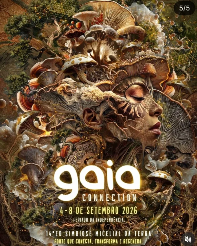 Gaia Connection